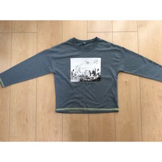 ニシマツヤ(西松屋)の恐竜 長袖Tシャツ 120(Tシャツ/カットソー)