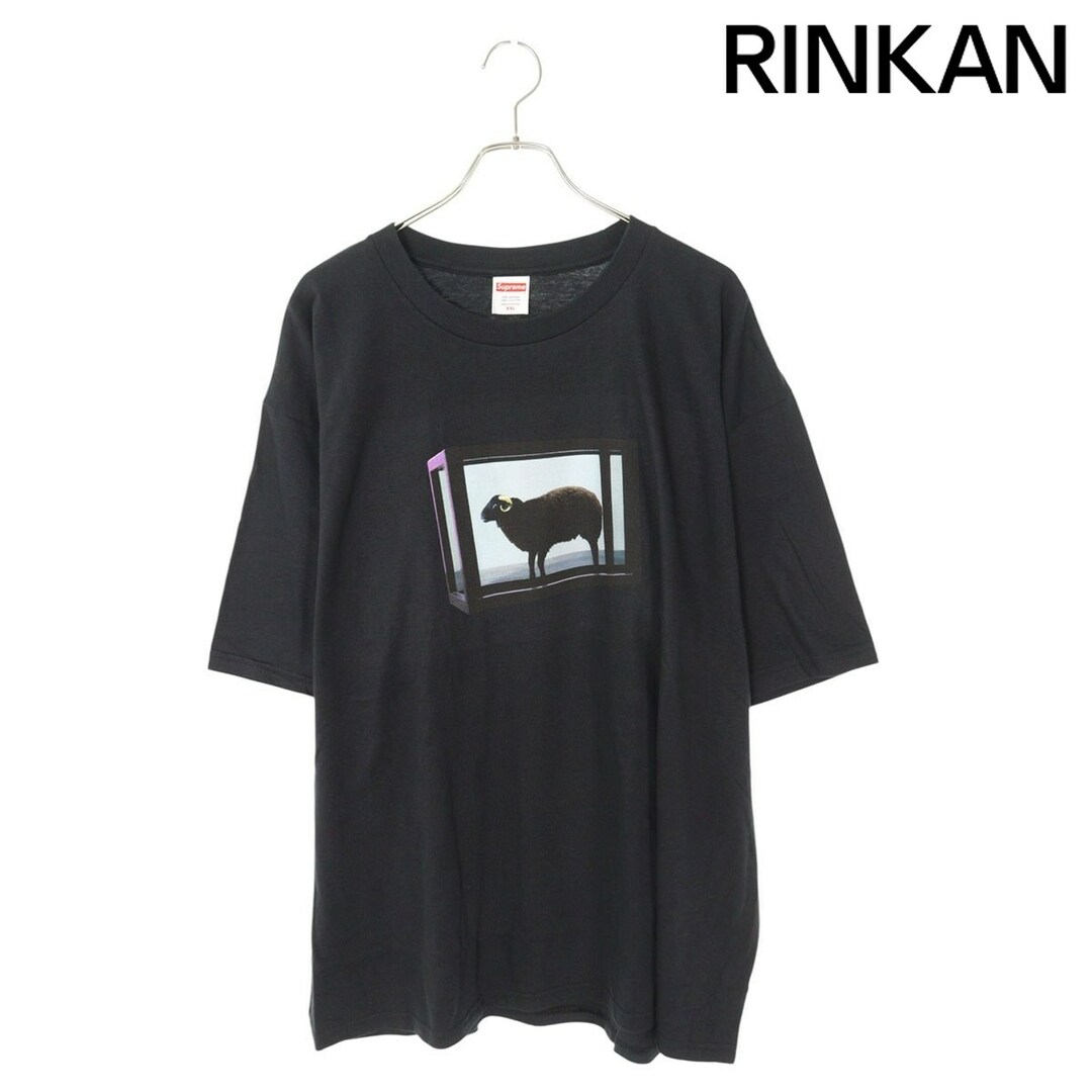Supreme - シュプリーム 25SS Damien Hirst Tee ダミアン Supreme - シュプリーム 25SS Damien Hirst Tee ダミアン