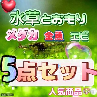 水槽用クーラー ゼンスイ ZC-100 難有りの通販 by n_achang's 水槽用クーラー ゼンスイ ZC-100 難有りの通販 by n_achang's