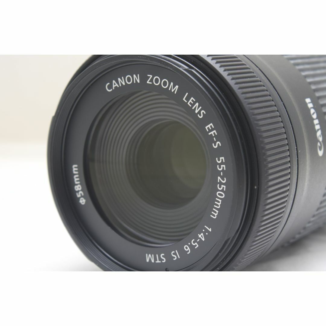 Canon EF-S 55-250mm f/4-5.6 IS STM Lens Review