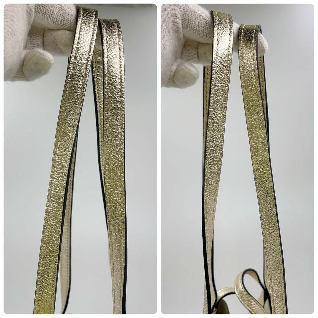 GIANNI CHIARINI - 美品✨ ジャンニキャリーニ トートバッグ GIANNI CHIARINI - 美品✨ ジャンニキャリーニ トートバッグ