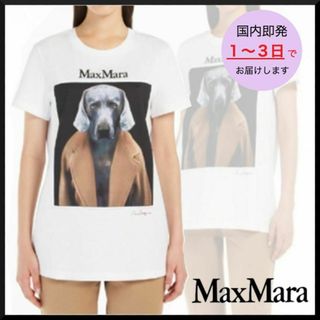 Max Mara(Tシャツ(半袖/袖なし))のフリマアイテム一覧 Max Mara(Tシャツ(半袖/袖なし))のフリマアイテム一覧