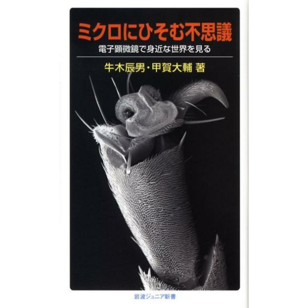 ミクロにひそむ不思議 電子顕微鏡で身近な世界を見る/岩波書店/牛木辰男(新書) エンタメ/ホビーのエンタメ その他(その他)の商品写真