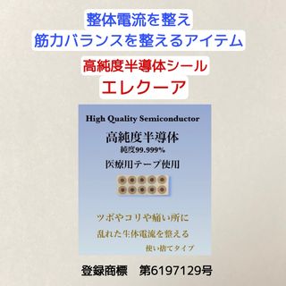 半導体パワーでツボ刺激！【エレクーア】(その他)