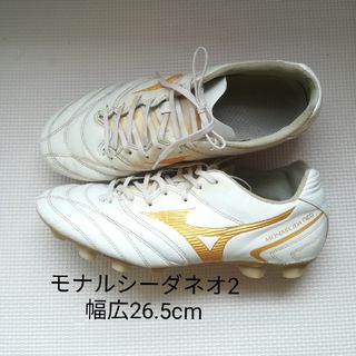 MIZUNO(シューズ)のフリマアイテム一覧 MIZUNO(シューズ)のフリマアイテム一覧