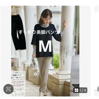 シャルレ(パンツ)のフリマアイテム一覧 シャルレ(パンツ)のフリマアイテム一覧