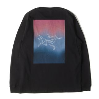 ARC'TERYX(Tシャツ/カットソー(七分/長袖))のフリマアイテム一覧 ARC'TERYX(Tシャツ/カットソー(七分/長袖))のフリマアイテム一覧