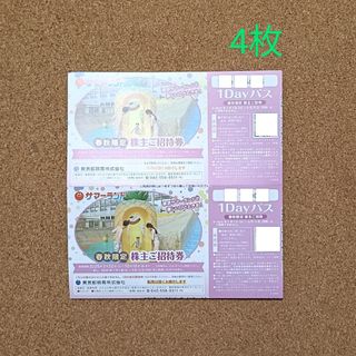 ナガシマスパーランド パスポート入場券 大人2枚の通販 by DDI ナガシマスパーランド パスポート入場券 大人2枚の通販 by DDI