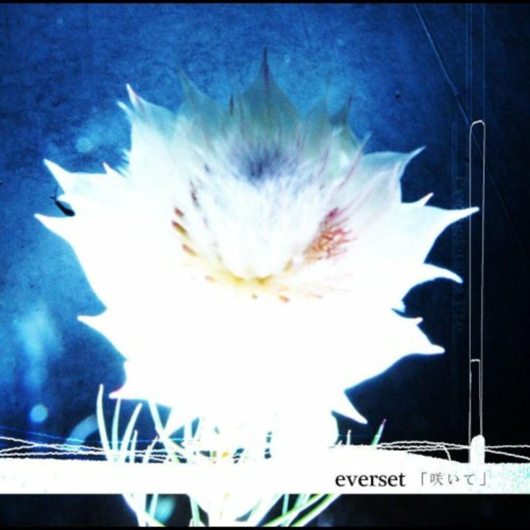 (CD)咲いて/everset エンタメ/ホビーのCD(ポップス/ロック(邦楽))の商品写真