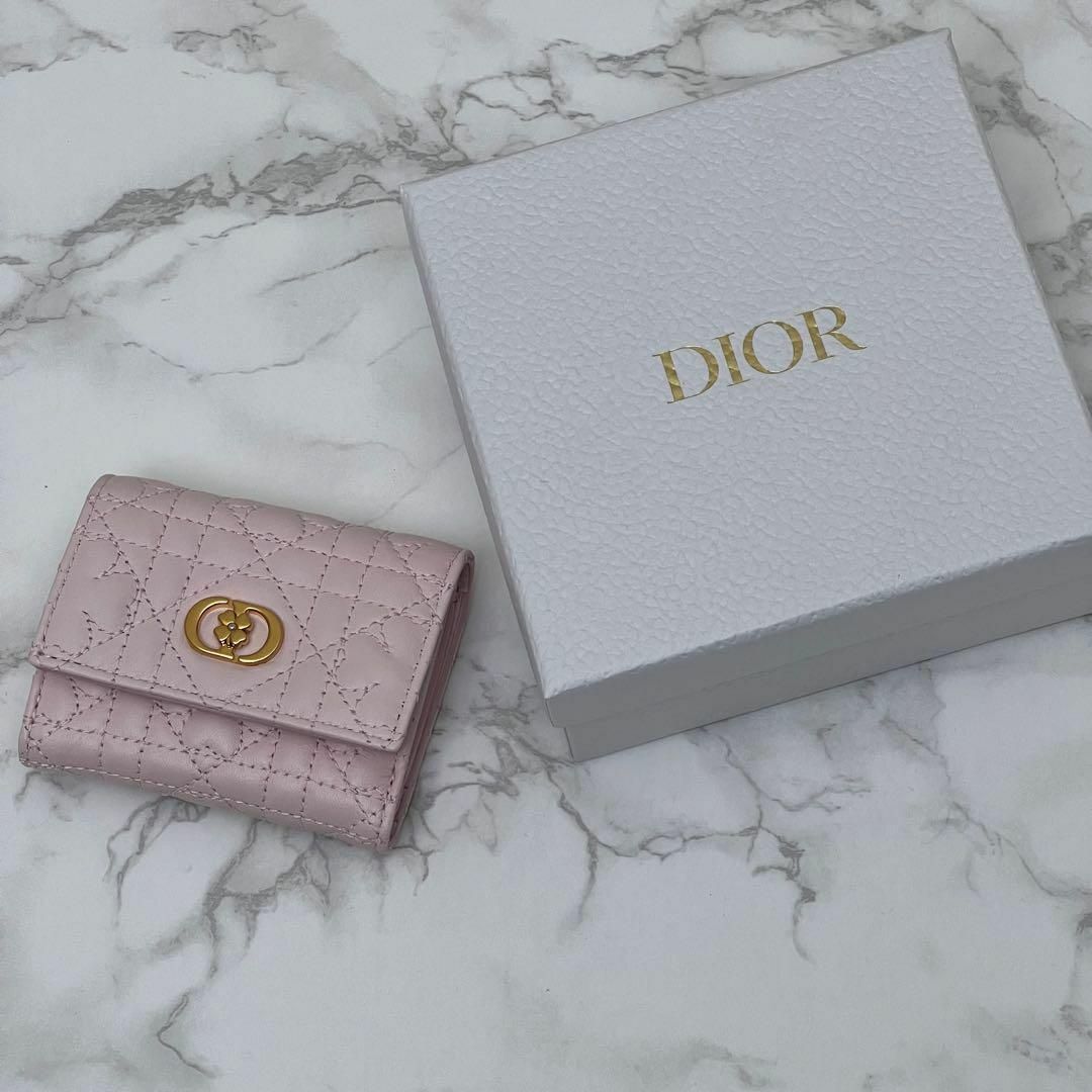 Christian Dior - ディオール 【日本限定】 Caro Hibiscus L Christian Dior - ディオール 【日本限定】 Caro Hibiscus L
