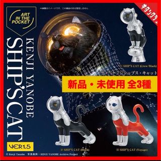 KITAN CLUB - 新品 未開封品 奇譚クラブ おさんぽカエル v2.5 KITAN CLUB - 新品 未開封品 奇譚クラブ おさんぽカエル v2.5