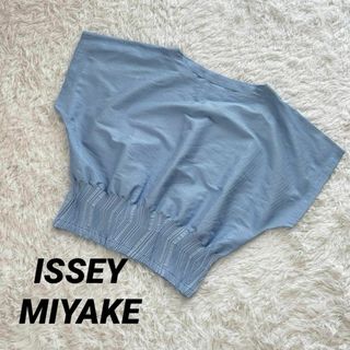 ISSEY MIYAKE(ブルー・ネイビー/青色系)のフリマアイテム一覧 ISSEY MIYAKE(ブルー・ネイビー/青色系)のフリマアイテム一覧