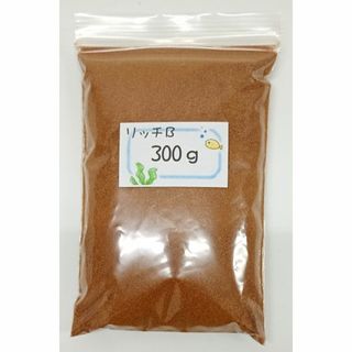 熱帯植物 アルデシア sp ライトセーバー 葉挿し株の通販 by 熱帯植物 アルデシア sp ライトセーバー 葉挿し株の通販 by