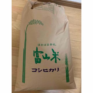 くず米 20kg 砕米・雑穀 鳥の餌 飼料 肥料 青米 の通販 by くず米 20kg 砕米・雑穀 鳥の餌 飼料 肥料 青米 の通販 by
