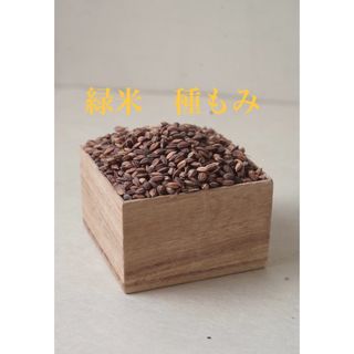 再入荷令和6年「生活応援米」白米10㎏ 数量限定!!⚠︎茶色のお 再入荷令和6年「生活応援米」白米10㎏ 数量限定!!⚠︎茶色のお