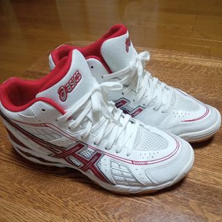 ブルマ 体操着 青 L 未使用 バレーボール コスプレ 体操服の ブルマ 体操着 青 L 未使用 バレーボール コスプレ 体操服の