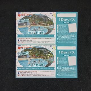 サマーランドご招待券1dayパス 2枚 大井競馬場 東京都競馬株主 サマーランドご招待券1dayパス 2枚 大井競馬場 東京都競馬株主