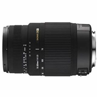シグマ 70-300mm F4-5.6 DG OS キヤノン用 70-300mm F4-5.6 DG OS EO wyw801m(その他)