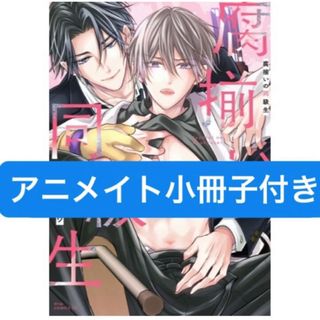 ギヴン シェリプラス11月号 表紙イラストクリアカード 立夏の ギヴン シェリプラス11月号 表紙イラストクリアカード 立夏の