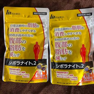 モデーア☘️ミールリプレイスメント バニラ 2袋セット 新品 モデーア☘️ミールリプレイスメント バニラ 2袋セット 新品