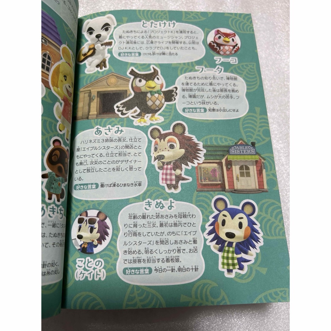 Nintendo Switch - あつまれ どうぶつの森ソフト+ 攻略本セット Nintendo Switch - あつまれ どうぶつの森ソフト+ 攻略本セット