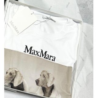 Max Mara(Tシャツ(半袖/袖なし))のフリマアイテム一覧 Max Mara(Tシャツ(半袖/袖なし))のフリマアイテム一覧