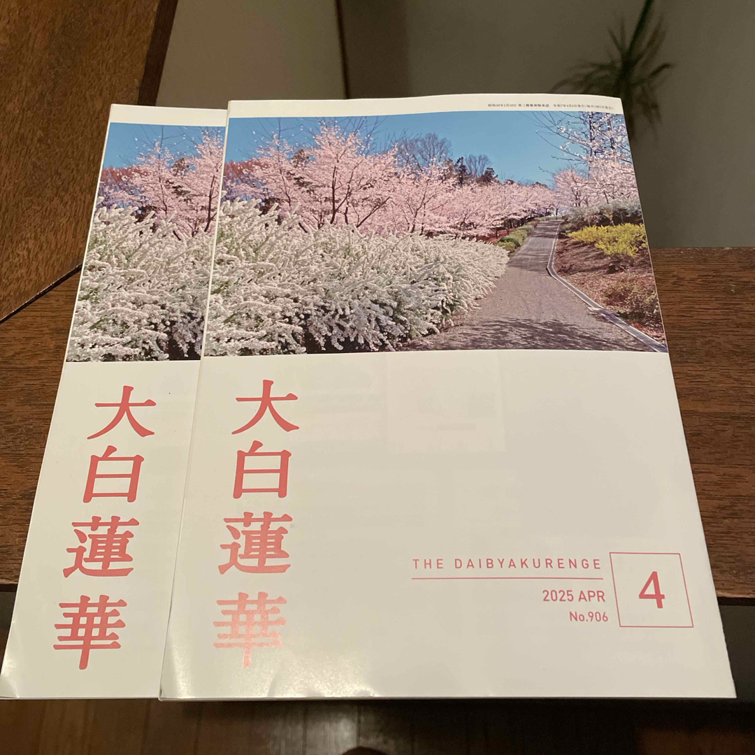 大白蓮華2025.4 エンタメ/ホビーの本(人文/社会)の商品写真