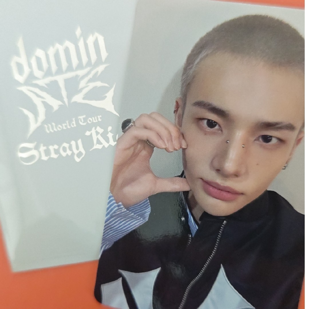 Stray Kids(ストレイキッズ)のStray Kids 特典カード/STADIUM エンタメ/ホビーのトレーディングカード(その他)の商品写真