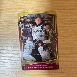 1985 ベースボールカード 香川伸行 南海ホークスの通販 by 1985 ベースボールカード 香川伸行 南海ホークスの通販 by