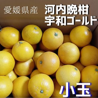 宮崎県産グリーンマンゴー (未熟果)1㎏の通販 by にこ|ラクマ 宮崎県産グリーンマンゴー (未熟果)1㎏の通販 by にこ|ラクマ