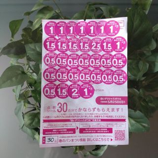 有田焼 陶扇 菊割皿 2枚セット 錦絵 銘々皿 金彩色絵 中皿 赤絵 有田焼 陶扇 菊割皿 2枚セット 錦絵 銘々皿 金彩色絵 中皿 赤絵