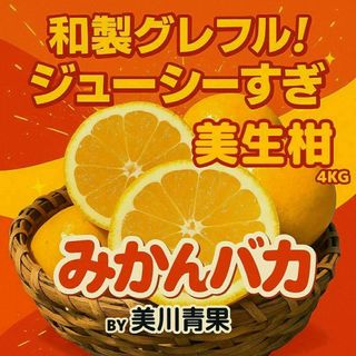 数量限定 甘すぎる 小玉 せとか みかん 有田産 みかん 果物の 数量限定 甘すぎる 小玉 せとか みかん 有田産 みかん 果物の