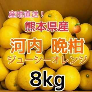 宮崎県産グリーンマンゴー (未熟果)1㎏の通販 by にこ|ラクマ 宮崎県産グリーンマンゴー (未熟果)1㎏の通販 by にこ|ラクマ