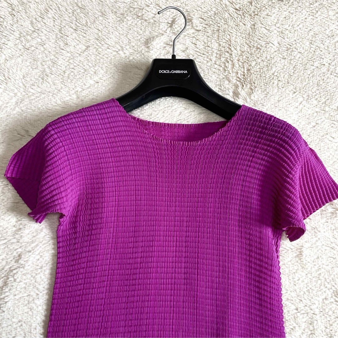 ISSEY MIYAKE - 極美品 イッセイミヤケ ISSEY MIYAKE 半袖 ISSEY MIYAKE - 極美品 イッセイミヤケ ISSEY MIYAKE 半袖