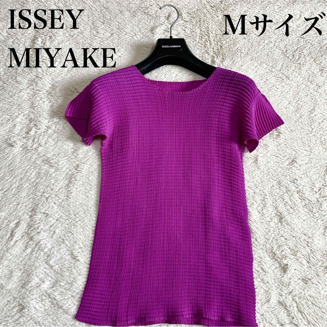 ISSEY MIYAKE - 極美品 イッセイミヤケ ISSEY MIYAKE 半袖 ISSEY MIYAKE - 極美品 イッセイミヤケ ISSEY MIYAKE 半袖