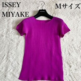 ISSEY MIYAKE - 極美品 イッセイミヤケ ISSEY MIYAKE 半袖 ISSEY MIYAKE - 極美品 イッセイミヤケ ISSEY MIYAKE 半袖