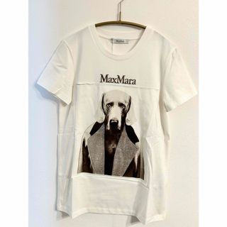Max Mara(Tシャツ(半袖/袖なし))のフリマアイテム一覧 Max Mara(Tシャツ(半袖/袖なし))のフリマアイテム一覧