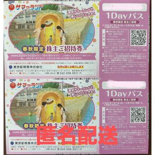 チラシ SSソフト セガサターン 神凰拳 広告 販促 宣伝の通販 by チラシ SSソフト セガサターン 神凰拳 広告 販促 宣伝の通販 by
