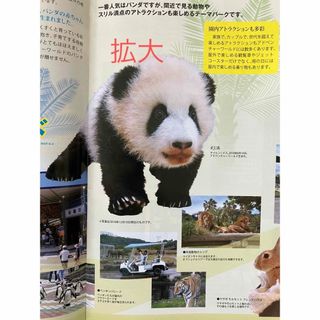 渋谷区住宅地図 はいまっぷ 渋谷区 東京の住宅地図シリーズ13 渋谷区住宅地図 はいまっぷ 渋谷区 東京の住宅地図シリーズ13