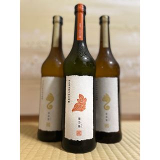 新政 タンジェリン の通販 by shop|ラクマ 新政 タンジェリン の通販 by shop|ラクマ