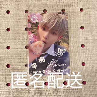 &team エンチム ウィジュ ぬいぐるみ マスター グッズの通販 by &team エンチム ウィジュ ぬいぐるみ マスター グッズの通販 by
