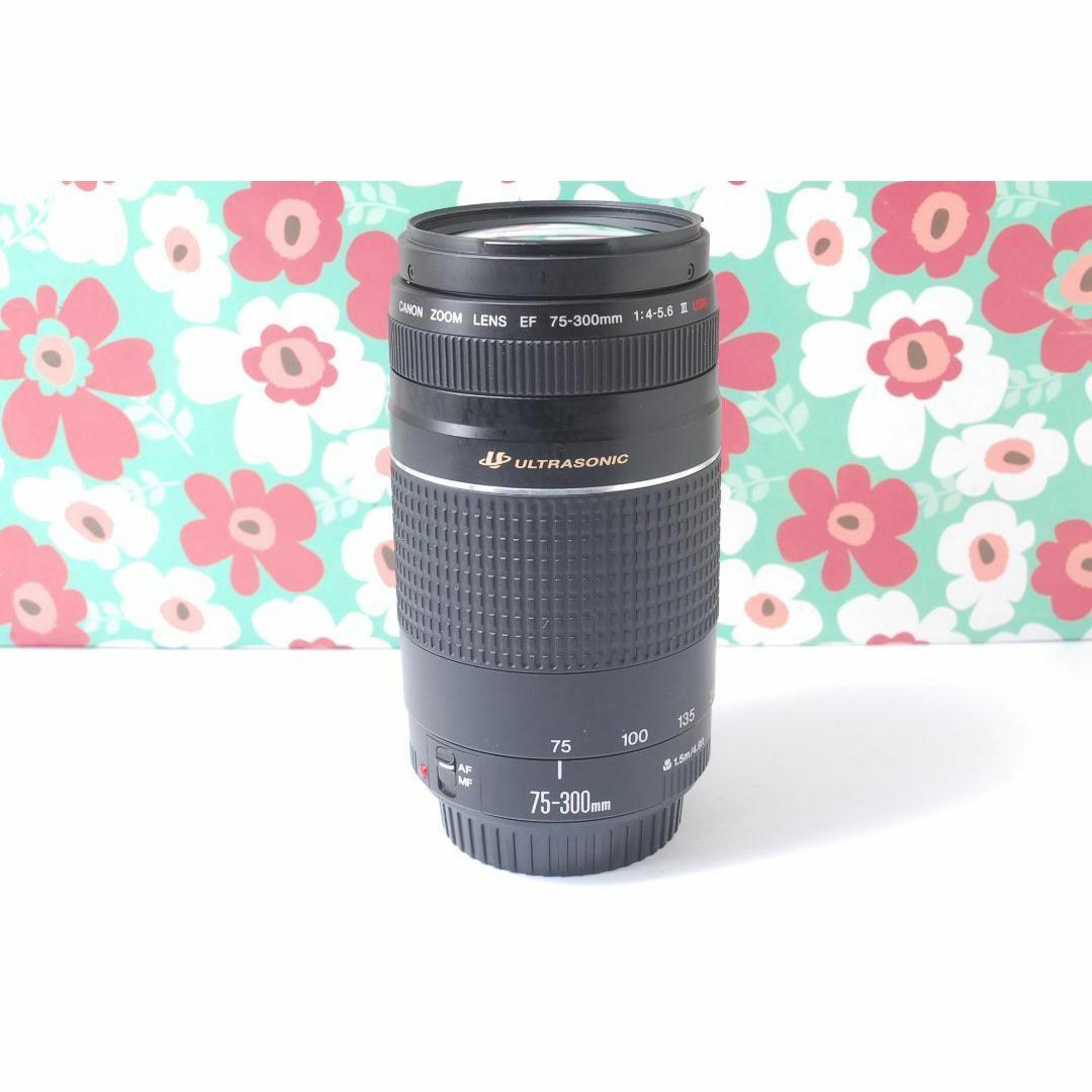 Canon - ❤キャノン Canon EF 75-300mm F4-5.6 USM III❤の通販 Canon - ❤キャノン Canon EF 75-300mm F4-5.6 USM III❤の通販