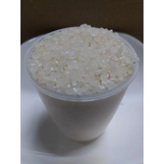ミルキープリンセスが自然栽培/農薬 栽培期間中不使用 玄米 ミルキープリンセスが自然栽培/農薬 栽培期間中不使用 玄米
