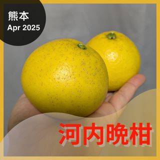 数量限定 甘すぎる 小玉 せとか みかん 有田産 みかん 果物の 数量限定 甘すぎる 小玉 せとか みかん 有田産 みかん 果物の