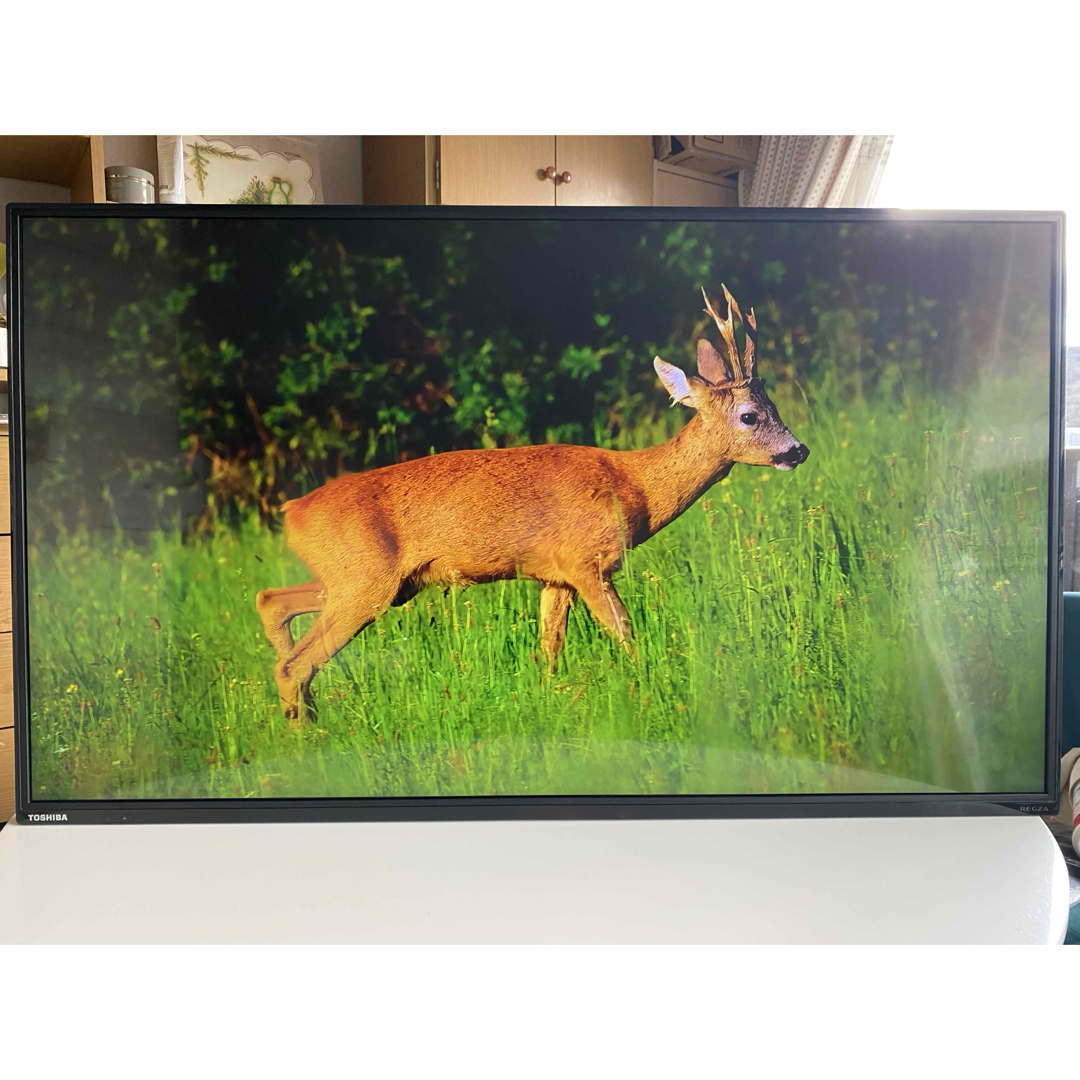 東芝 - 4K,Wi-Fi アプリ多数 43インチ液晶テレビ REGZA 43C310X 東芝 - 4K,Wi-Fi アプリ多数 43インチ液晶テレビ REGZA 43C310X