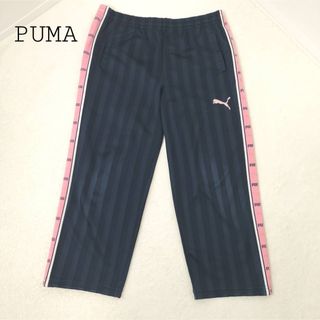 PUMA(ジャージ ・ ピンク/桃色系)のフリマアイテム一覧 PUMA(ジャージ ・ ピンク/桃色系)のフリマアイテム一覧