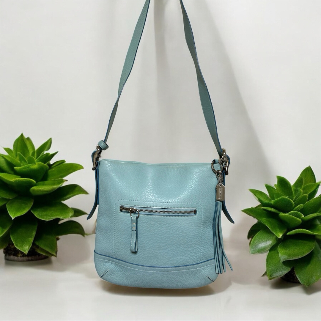 COACH - 【美品】COACH コーチ ショルダーバッグ レザー ライト COACH - 【美品】COACH コーチ ショルダーバッグ レザー ライト