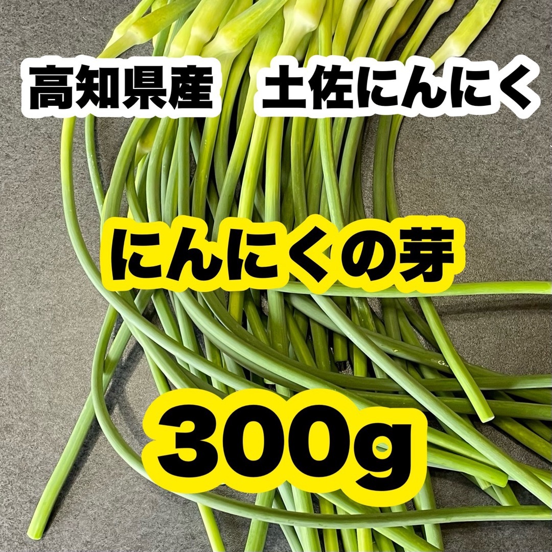 高知県産 土佐にんにく ニンニクの芽 農家直送! 野菜 Tmwの通販 高知県産 土佐にんにく ニンニクの芽 農家直送! 野菜 Tmwの通販