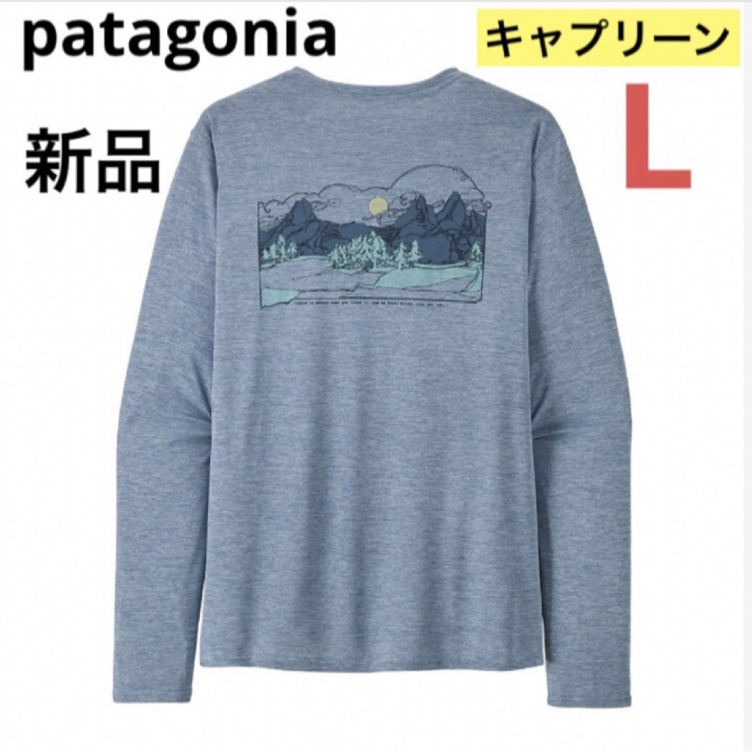 patagonia - ⭐️激レア⭐️新品タグ付‼️パタゴニア ロング patagonia - ⭐️激レア⭐️新品タグ付‼️パタゴニア ロング