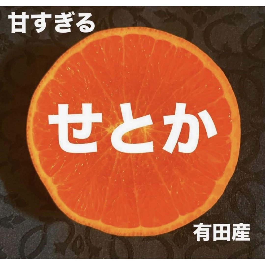 数量限定 甘すぎる 小玉 せとか みかん 有田産 みかん 果物の 数量限定 甘すぎる 小玉 せとか みかん 有田産 みかん 果物の